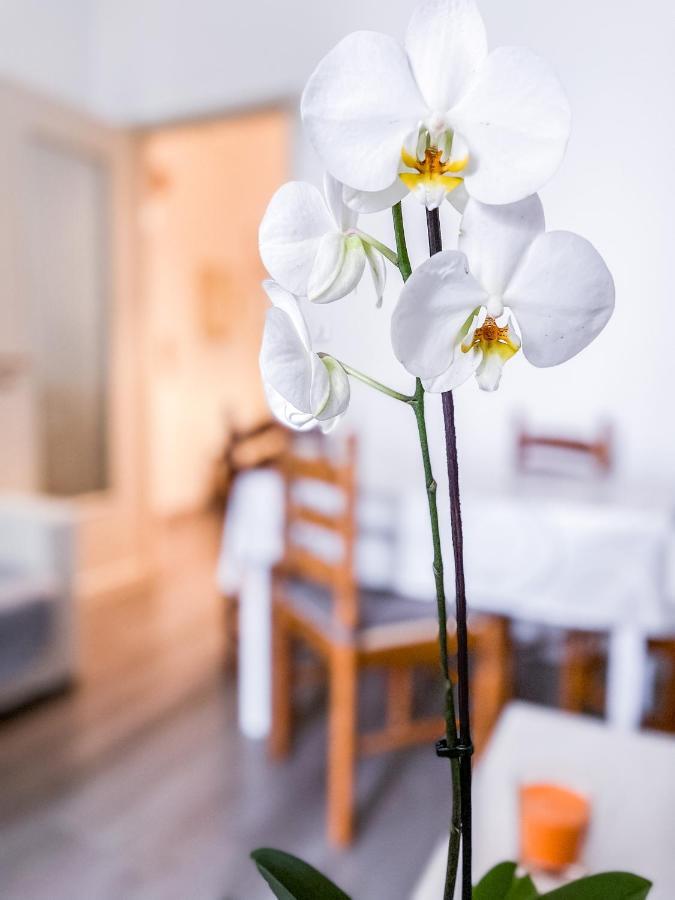 Myhouse Inn Marche - Affitti Brevi Italia トリノ エクステリア 写真
